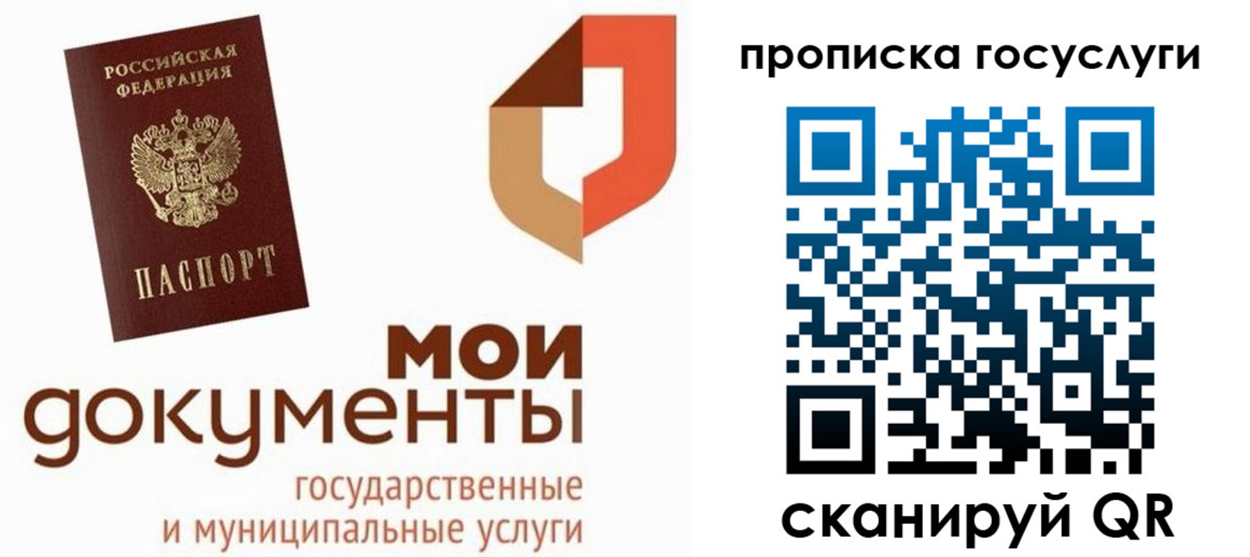 временная регистрация купить в ЕАО